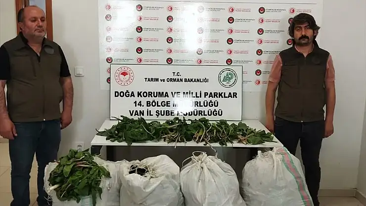 Van'da dev soğan bitkileriyle yakalanan İran uyrukluya şahsa ceza yağdı