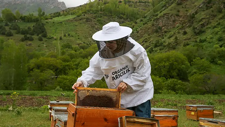 Genç girişimci devlet desteğiyle arıcılığa başladı