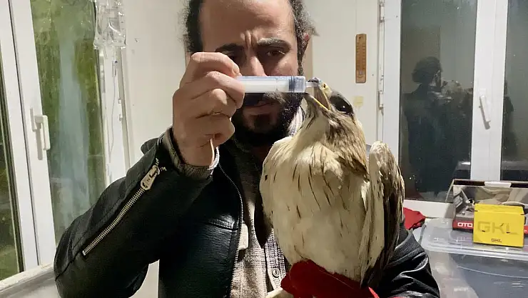 Erzurum'da tedavi edilen yabani kuşlar özgürlüğüne kavuştu