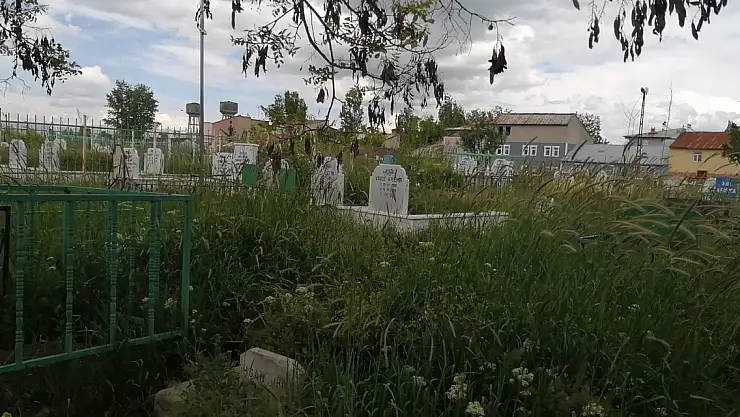 Ağrı'da Mezarlıklar Otların Arasında Kayboldu