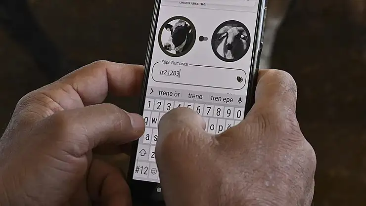 Tarım cebimde uygulamasıyla kurbanlık bilgilerine ulaşılabiliyor