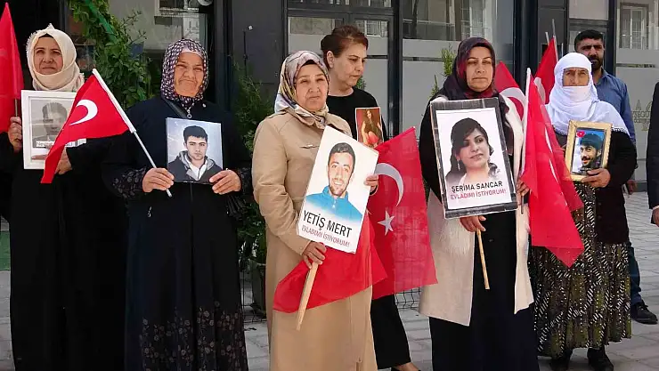 Van'da evladı kaçırılan anne: 'O ceza Selahattin Demirtaş'a azdır'