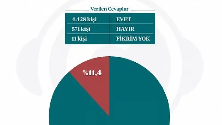 İletişim Başkanlığından sokak köpekleri kamuoyu araştırması