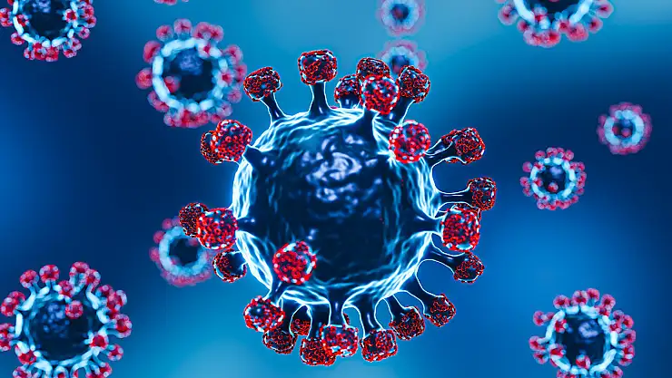 Kovid-19 salgını yaşam süresini yaklaşık 2 yıl kısalttı