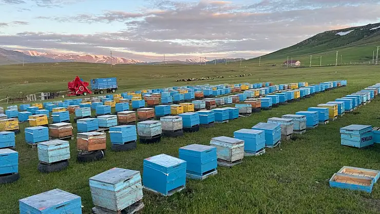 Karadenizli Arıcılar yeniden Ağrı'da