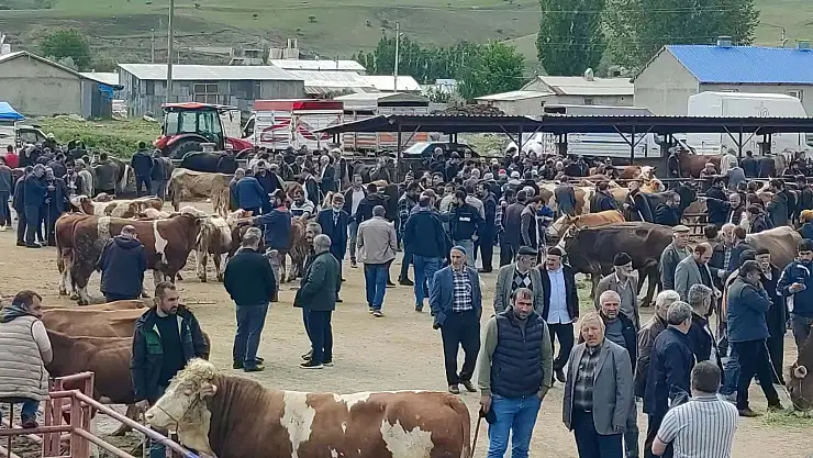 Erzurum'da kurbanlıklar görücüye çıktı