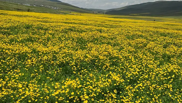 Erzurum'un zirvesinde görsel şölen
