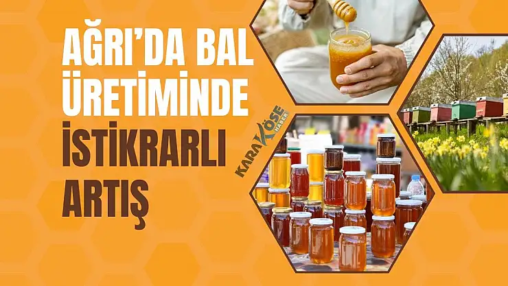 Ağrı'da Bal Üretiminde İstikrarlı Artış