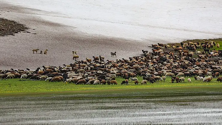 Bir yanları Ağrı Dağı, diğer yanları Aras Dağları