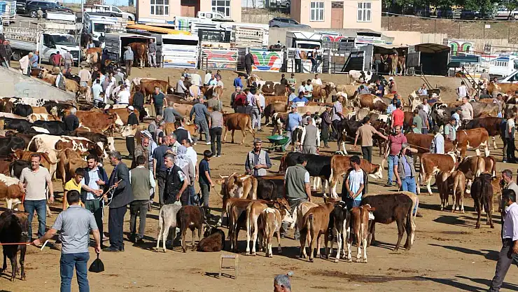 Diyarbakır'da 115 bin kurbanlık hayvan satışa hazır