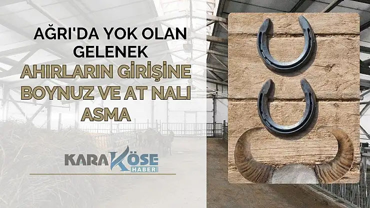 Ağrı'da Yok Olan Gelenek: Ahırların Girişine Boynuz ve At Nalı Asma