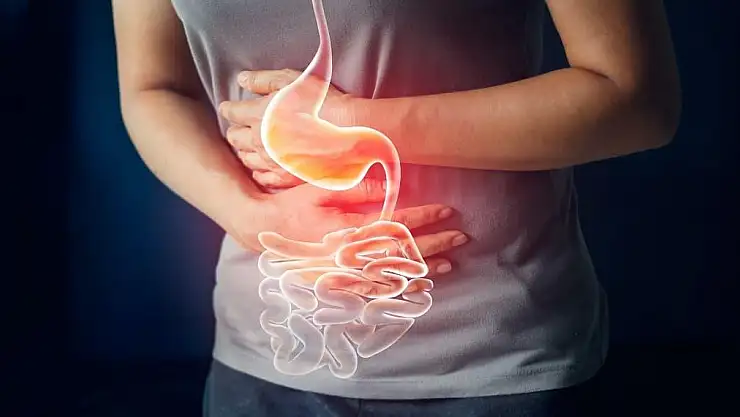 Yaz aylarında yağlı ve baharatlı beslenmek mide sorunlarını tetikleyebilir