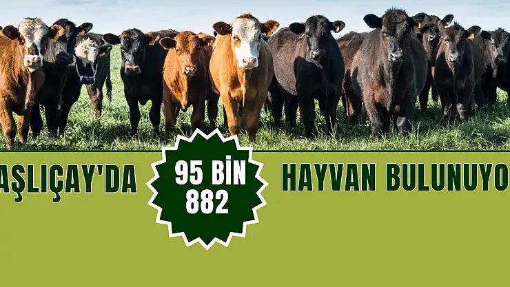 Taşlıçay'da 95 bin 882 Hayvan Bulunuyor