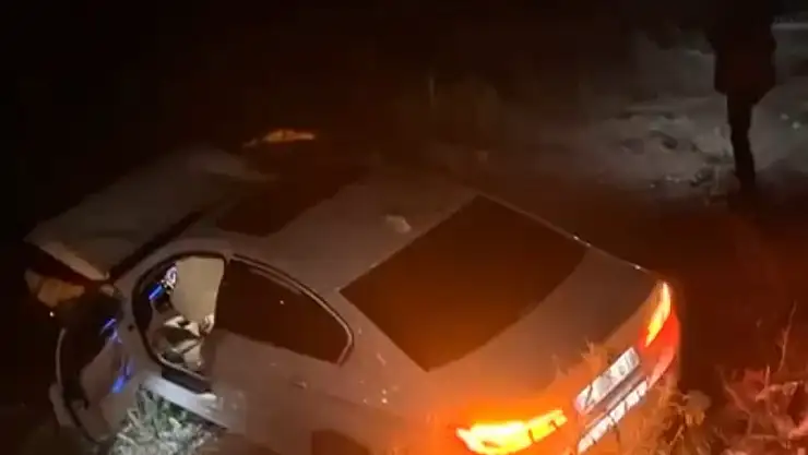 Van'da otomobil sürüye daldı: 18 koyun telef