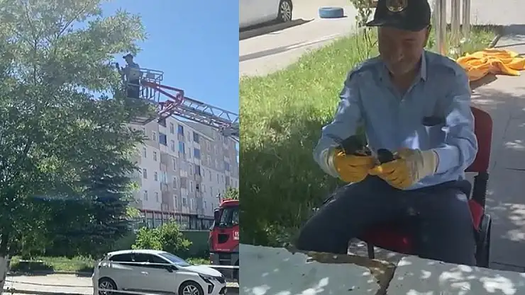 Ağrı'da Ağaçta Takılı Kalan Yavru Kargalar Kurtarıldı