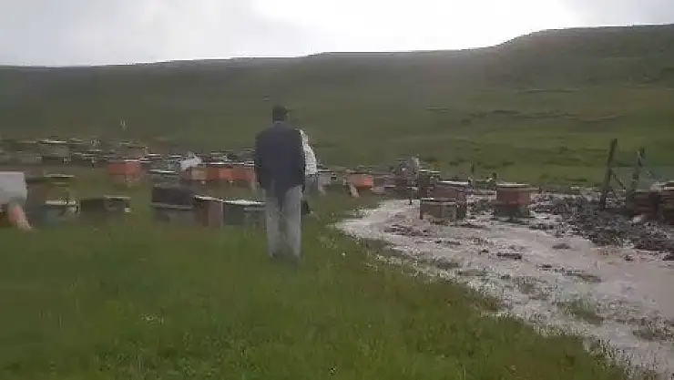 Erzurum'da dolu arı kovanlarını vurdu