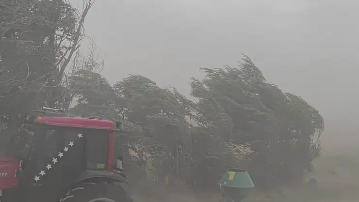 Adilcevaz'da toz bulutu ve fırtına etkili oldu