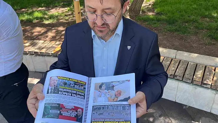 Sokakların güvenliği için vatandaşlar sahipsiz köpek sorununa çözüm bekliyor