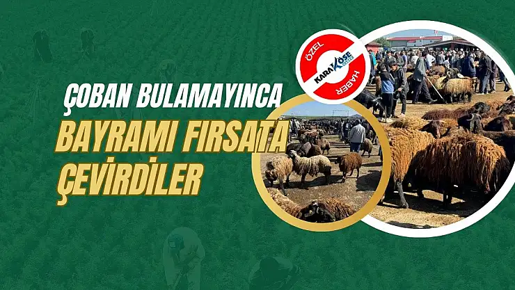 Çoban bulamayınca bayramı fırsata çevirdiler