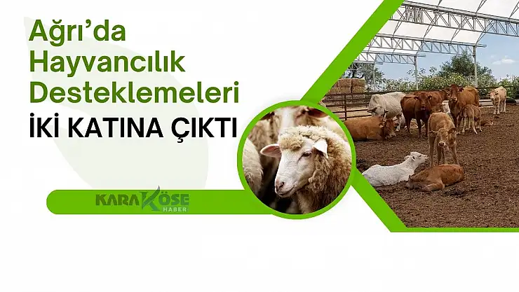 Ağrı'da Hayvancılık Desteklemeleri İki Katına Çıktı