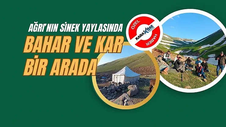 Ağrı'nın Sinek Yaylasında Bahar ve Kar Bir Arada