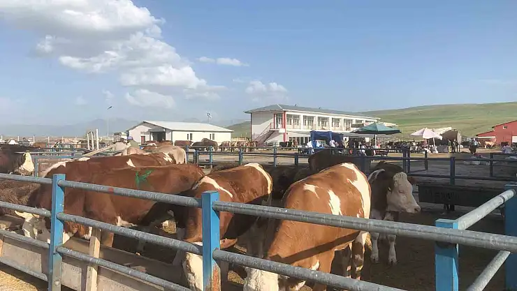 Erzurum'da kurban pazarları hareketlenmeye başladı