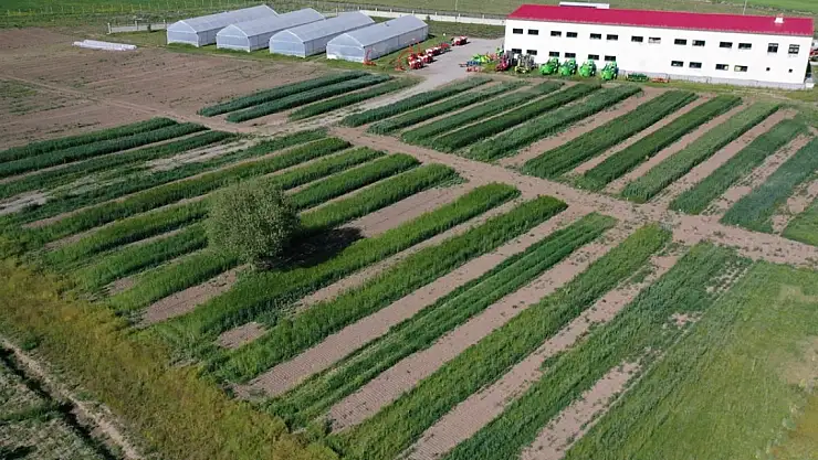 Ağrı'da çiftçiye çilek yetiştiriciliği öğretiliyor