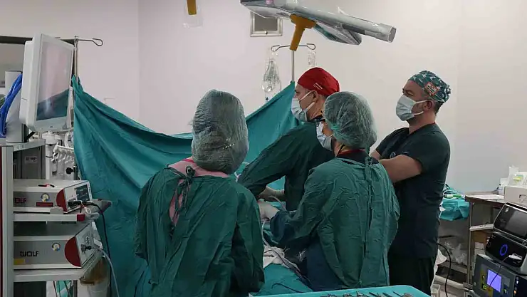 Evcil hayvanı olanlar dikkat: Hayvan dışkısında bulunan parazitler tehlike saçıyor