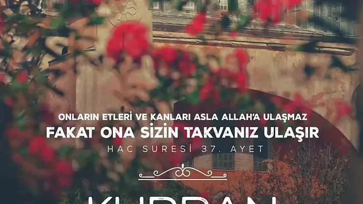 Cumhurbaşkanı Erdoğan'dan Kurban Bayramı paylaşımı