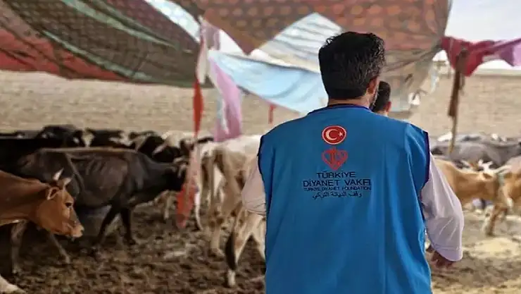 TDV, Van'da 10 bin 80 hisse kurbanın kesimine başladı