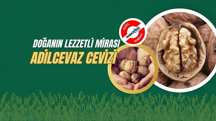 Doğanın Lezzetli Mirası: Adilcevaz Cevizi