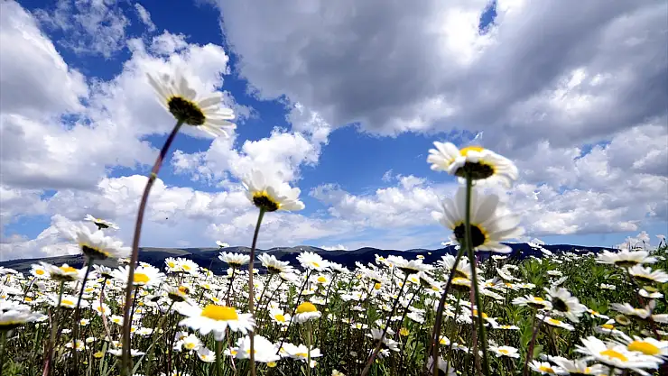 Kars'ın doğası fotoğraf tutkunlarını ağırlıyor