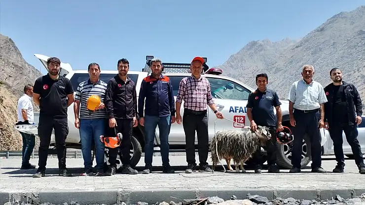 Hakkari'de kayalıklarda mahsur kalan kurbanlık keçi kurtarıldı