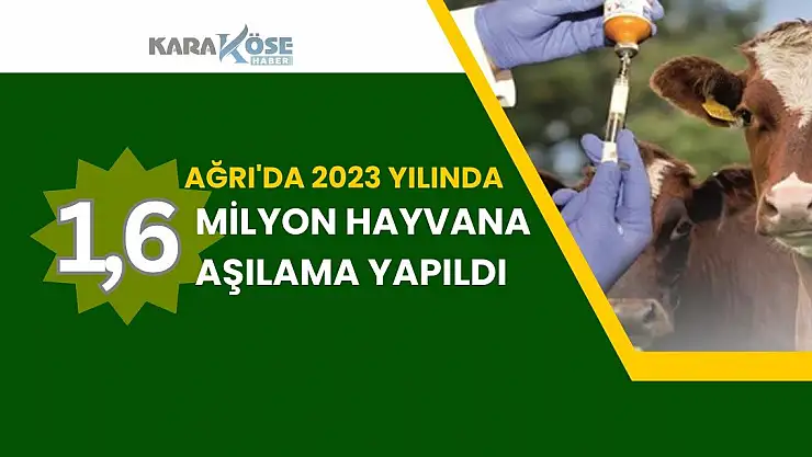 Ağrı'da 1 milyon 600 bin Hayvana Aşılama Yapıldı