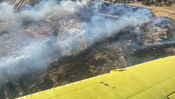 Ayvalık da yanıyor