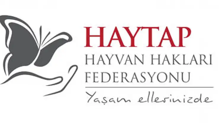 Kaçak olarak ülkeye sokulan 371 canlı hayvan HAYTAP işbirliğiyle korumaya alındı