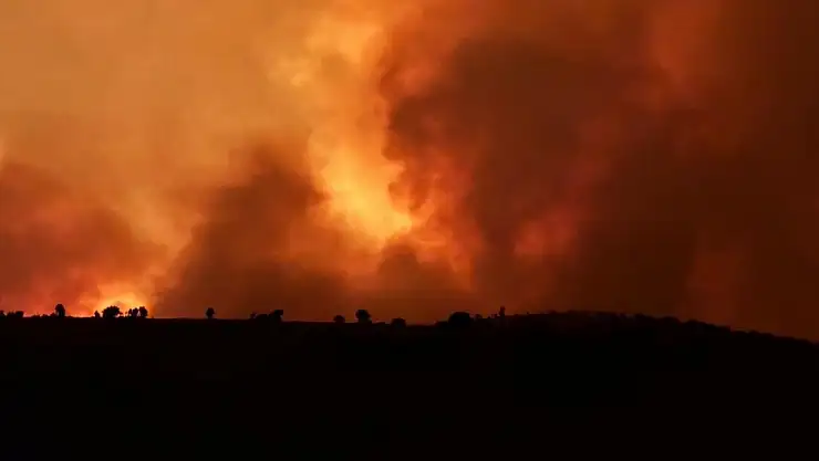 Sağlık Bakanı Koca: 'Diyarbakır ve Mardin'de çıkan yangında 12 kişi hayatını kaybetti'