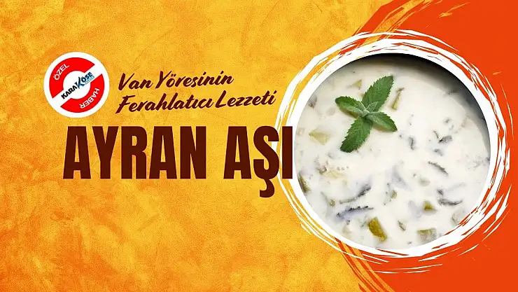 Van Yöresinin Ferahlatıcı Lezzeti: Ayran Aşı