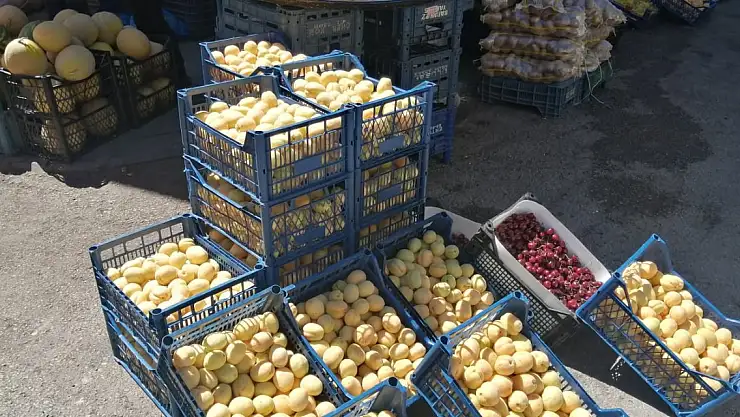 Komşunun meşhur kayısısı Ağrı'da piyasaya çıktı