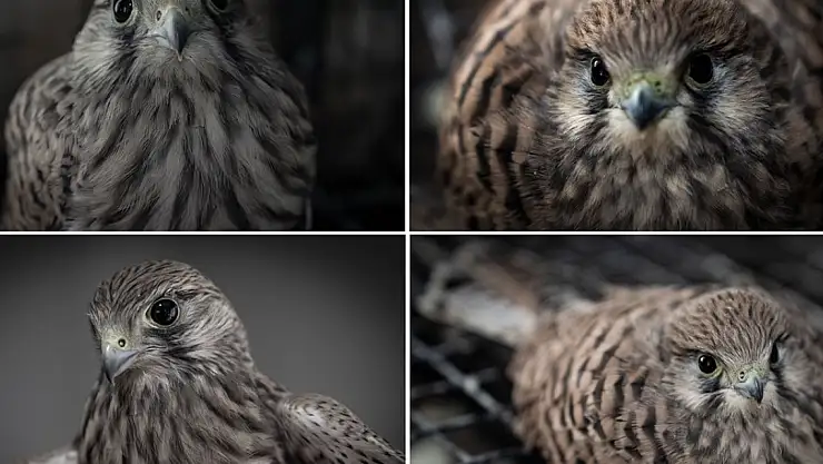 Erzurum'da yol kenarında bulunan kerkenezler koruma altına alındı