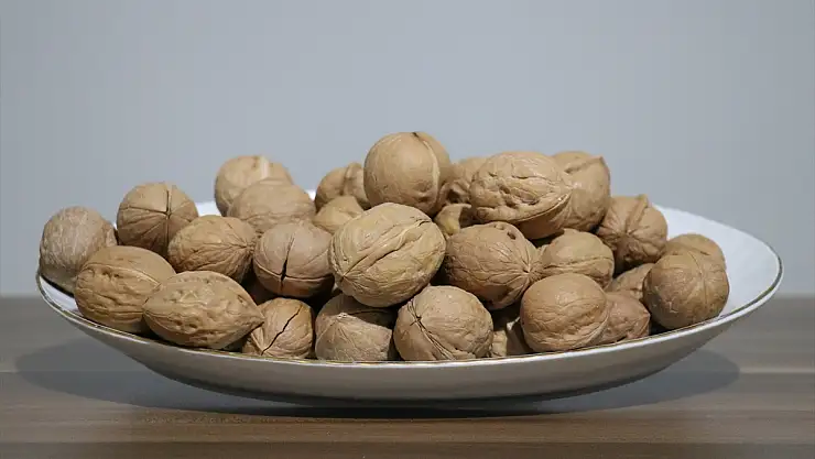 Van'da ceviz kabuğundan aktif karbon üretildi