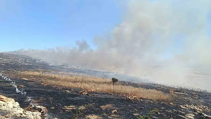 Diyarbakır'da örtü yangını