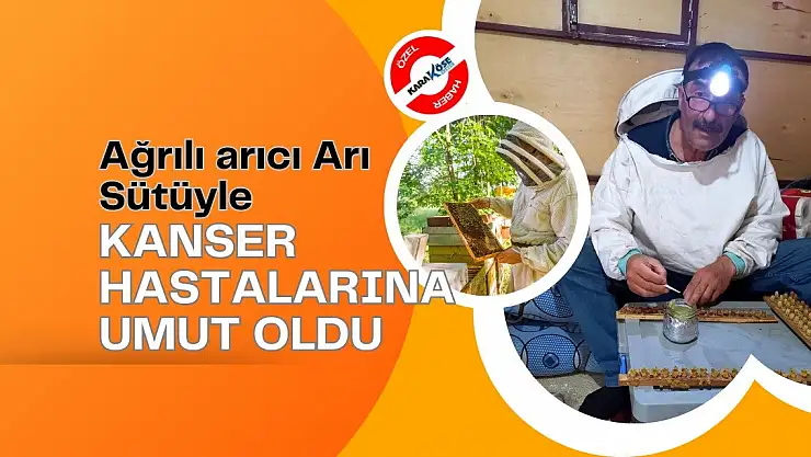 Ağrılı arıcı Arı Sütüyle Kanser hastalarına umut oldu