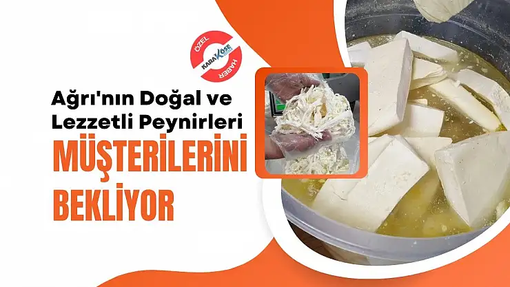 Ağrı'nın Doğal ve Lezzetli Peynirleri Müşterilerini Bekliyor