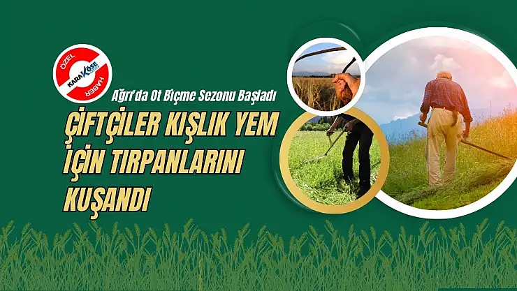 Ağrı'da Ot Biçme Sezonu Başladı: Çiftçiler Kışlık Yem İçin Tırpanlarını Kuşandı