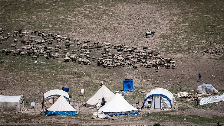 Erzurum yaylaları 500'ün üzerinde göçer ile binlerce küçükbaş hayvana ev sahipliği yapıyor
