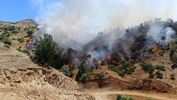 Bingöl'de iki ayrı ilçedeki orman yangınları söndürüldü