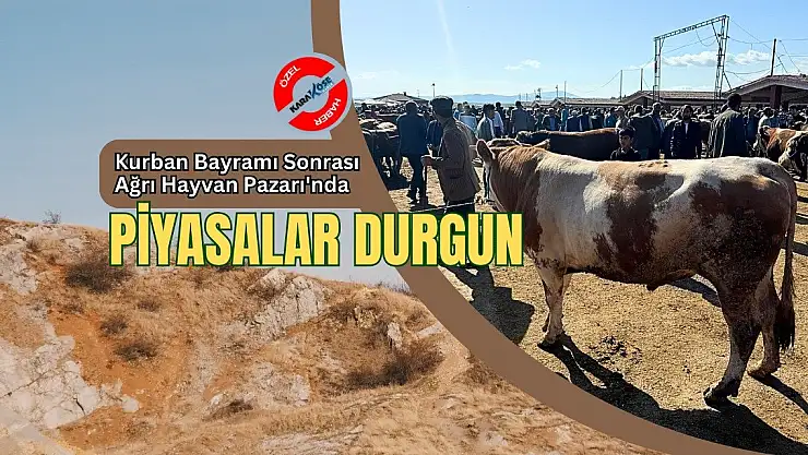 Kurban Bayramı Sonrası Ağrı Hayvan Pazarı'nda Piyasalar Durgun
