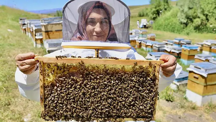 Ağrı'nın Kadın Arıcısı yapılamaz denileni başardı
