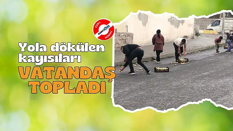 Ağrı'da Yola Dökülen Kayısıları Vatandaşlar Topladı